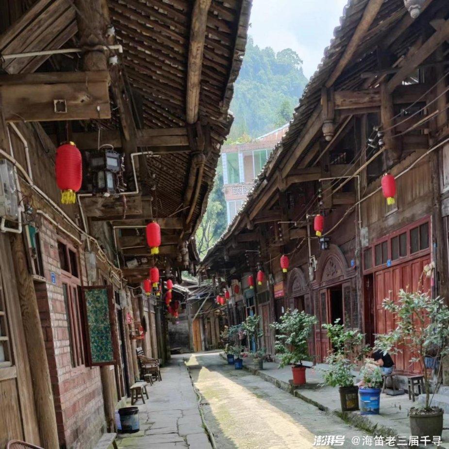 墨西哥首都恢复斗牛活动 遭反对者强烈抗议